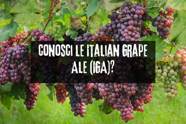 LE IGA E  L’ AMORE TRA UVA E BIRRA ARTIGIANALE!